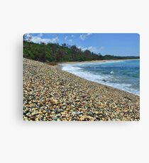 'Freshwater Bay" Canvas Print
