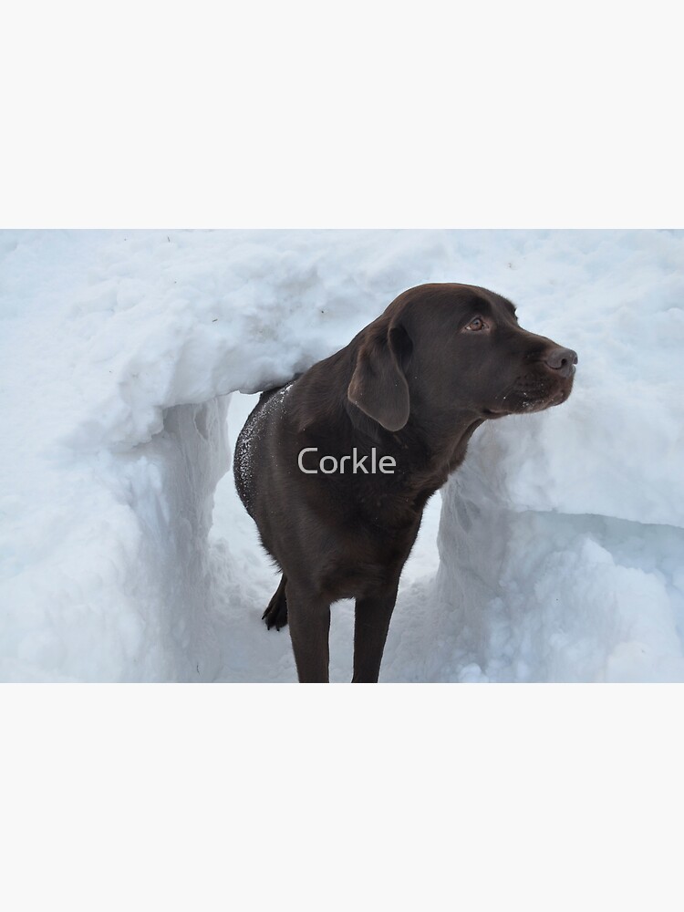 What S The Password For Entry Into The Snow Fort Greeting Card By Corkle Redbubble