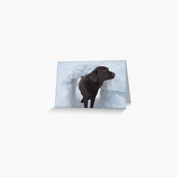 What's the Password for Entry Into The Snow Fort?? Greeting Card
