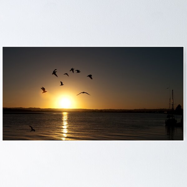 Item preview, Into the sunset designed and sold by ken47.