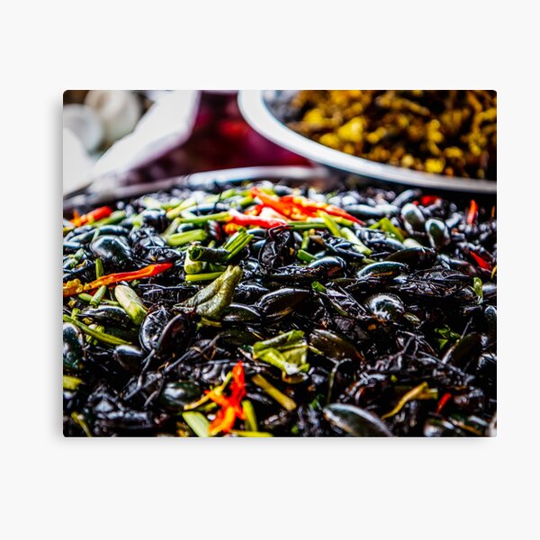 Canvas Print