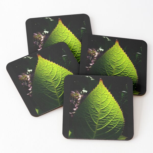 Artikelvorschau, #491 Hydrangea Leaf entworfen und verkauft von MyInnereyeMike.