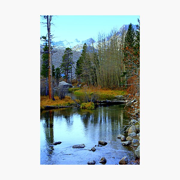 Item preview, "Tuolumne River" designed and sold by Lynn Bawden.