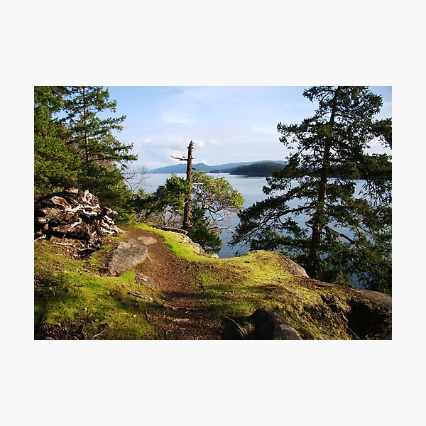 Sunday Stroll Photographic Print