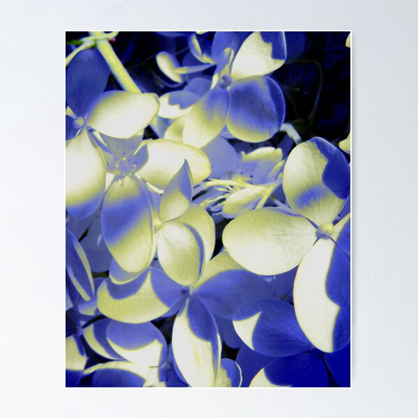 Item preview, I Love Hydrangeas designed and sold by Rebecca Bryson.