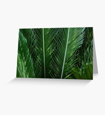 Sago Palm Leaves Greeting Card
