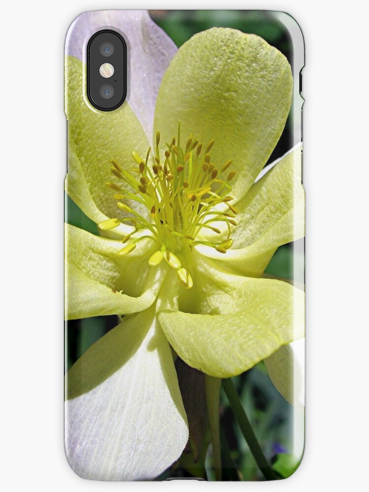 coque iphone 6 columbine coque iphone 6 columbine