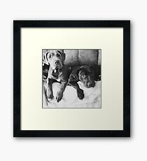 Big Boys Framed Print