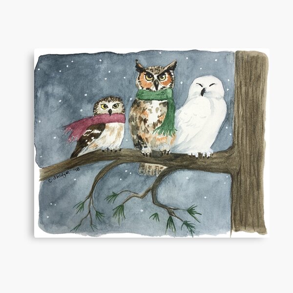 Item preview, The Three Wise Owls - Watercolor designed and sold by skidgelstudios.