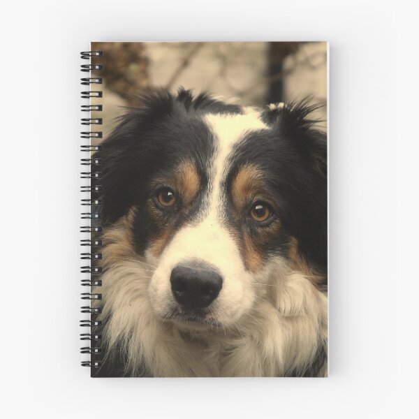 Item preview, “Dogs do speak, but only to those who know how to listen.”  designed and sold by Michael Haslam.