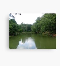 Green mirror... Canvas Print