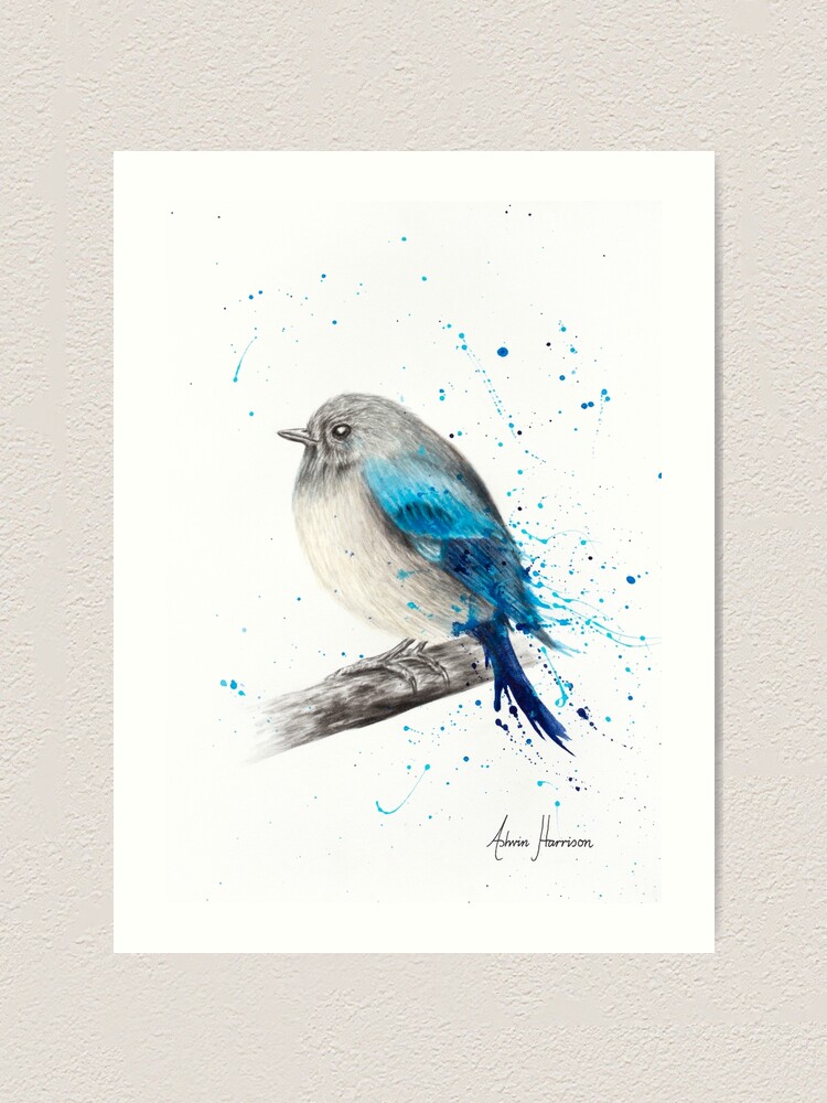 Runder Und Glucklicher Vogel Kunstdruck Von Ashvinharrison Redbubble