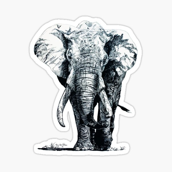 Elephant Sticker