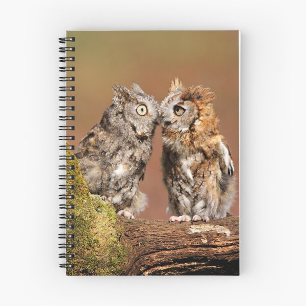 Item preview, Kissing designed and sold by naturesangle.