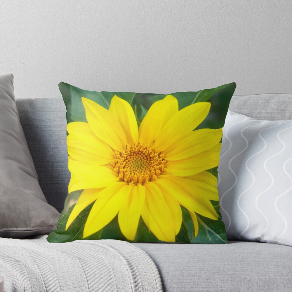 Item preview, Throw Pillow designed and sold by RJBPhotoDesign.