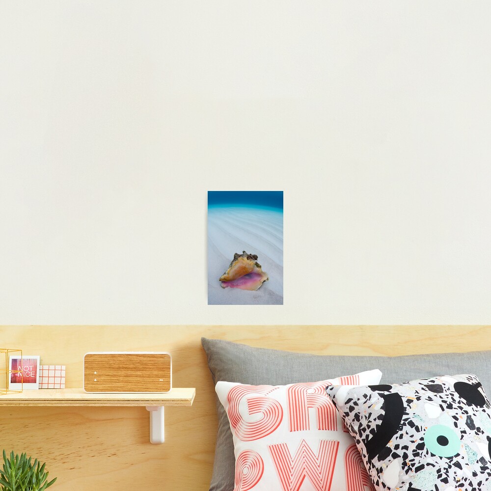 Item preview, Photographic Print designed and sold by muzy.