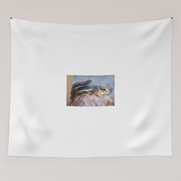 Item preview, This is My Rock... designed and sold by RichImage.