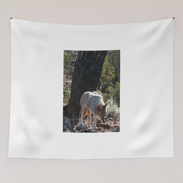 Item preview, Coyote morning.. designed and sold by RichImage.