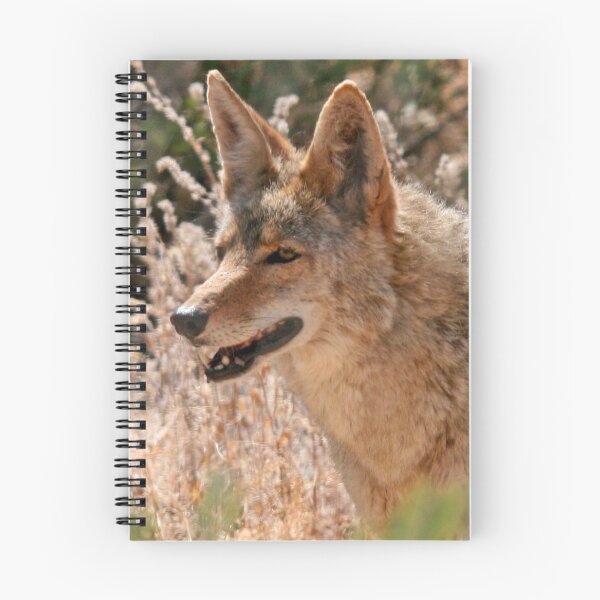 Item preview, Coyote designed and sold by RichImage.