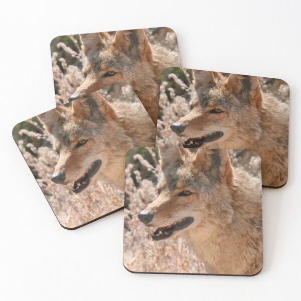Item preview, Coyote designed and sold by RichImage.