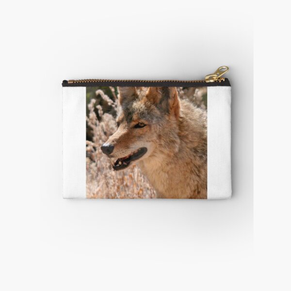Item preview, Coyote designed and sold by RichImage.