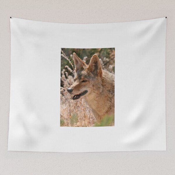 Item preview, Coyote designed and sold by RichImage.