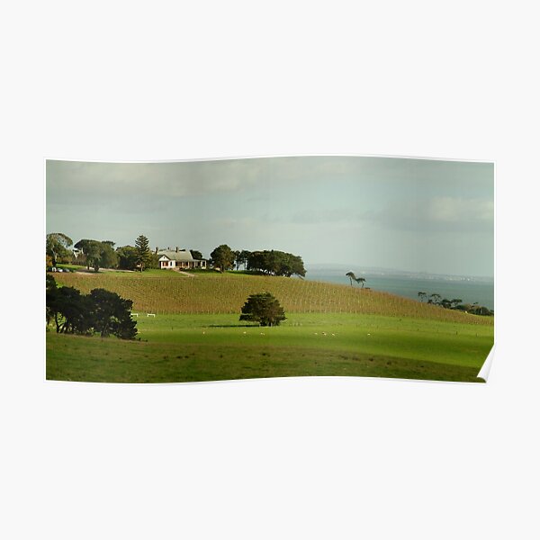 "Spray Farm,Bellarine Peninsula" Poster for Sale by Mortelliti Redbubble