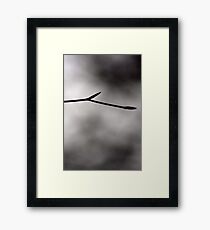 Simplistic Framed Print