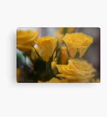 Rose Depth Metal Print
