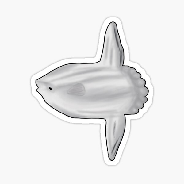 Vista previa del artículo con la obra «Mola Mola Ocean Print Sunfish dibujado a mano», diseñado y vendido por noblemermaid.
