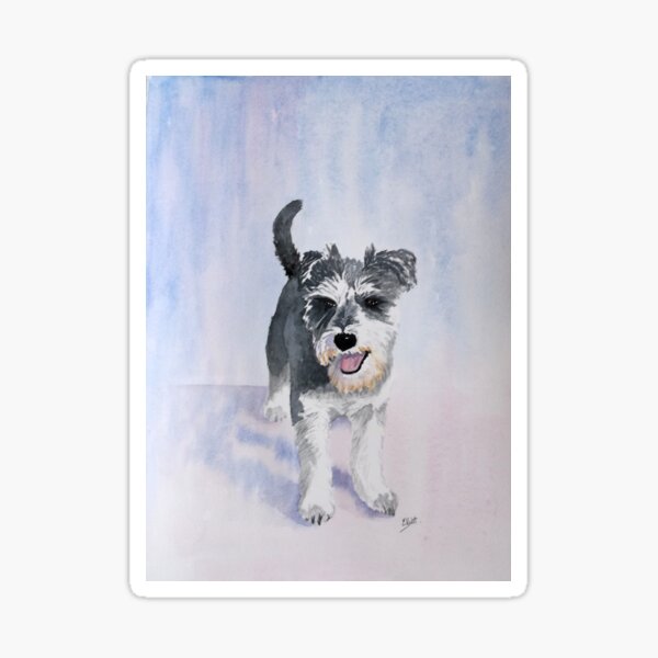 Dexter the Schnauzer Sticker