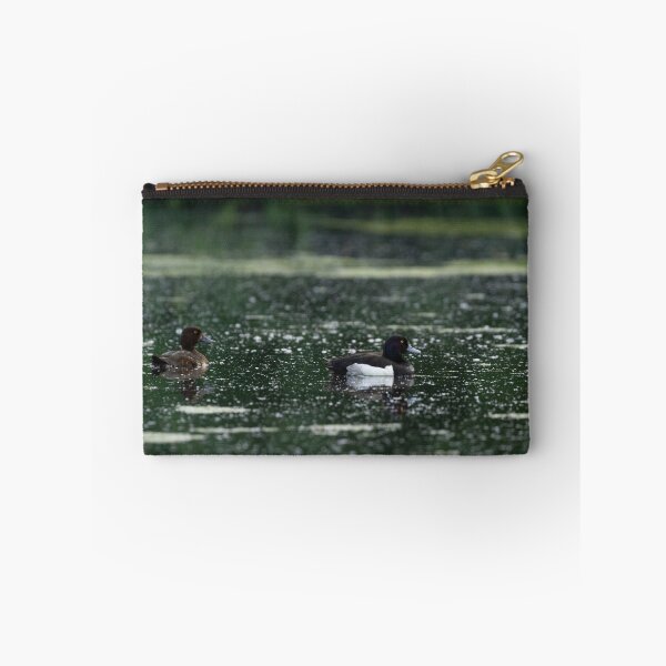 Item preview, Common coot designed and sold by BiceksPhoto.
