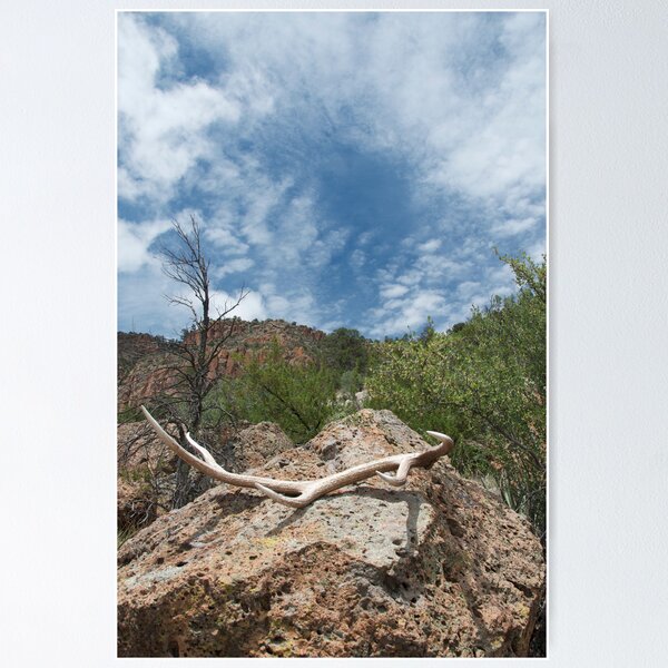 Item preview, Antler, rock and sky: Bland Canyon designed and sold by Gary Cascio.