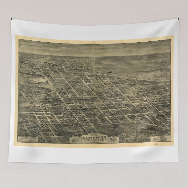 Item preview, Bird's Eye View of Anniston Alabama (1903) designed and sold by allhistory.