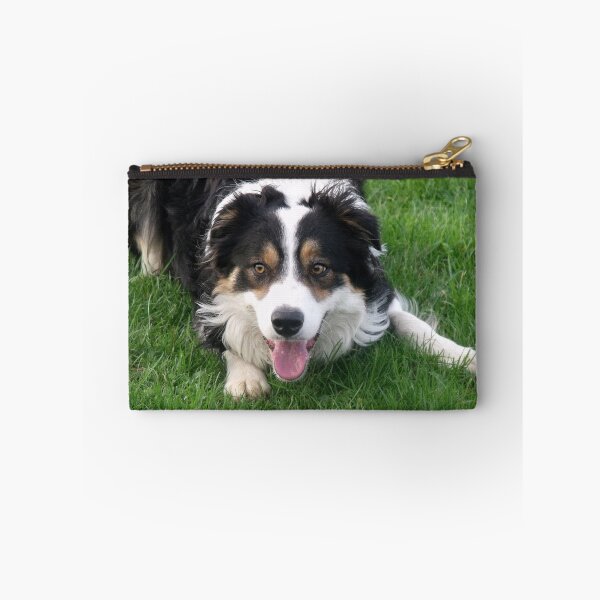 Item preview, Laddie at play. designed and sold by Michael Haslam.