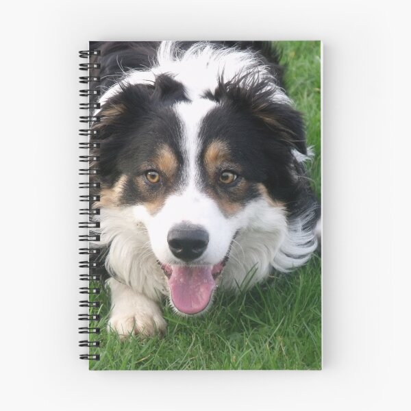 Item preview, Laddie at play. designed and sold by Michael Haslam.