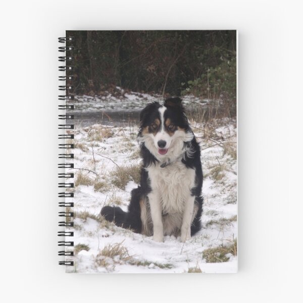Item preview, Snow Laddie designed and sold by Michael Haslam.