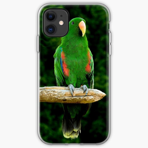 Eclectus Parrot - (Eclectus roratus) iPhone Soft Case