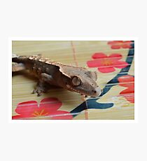 Crested Gecko and Flowers Photographic Print