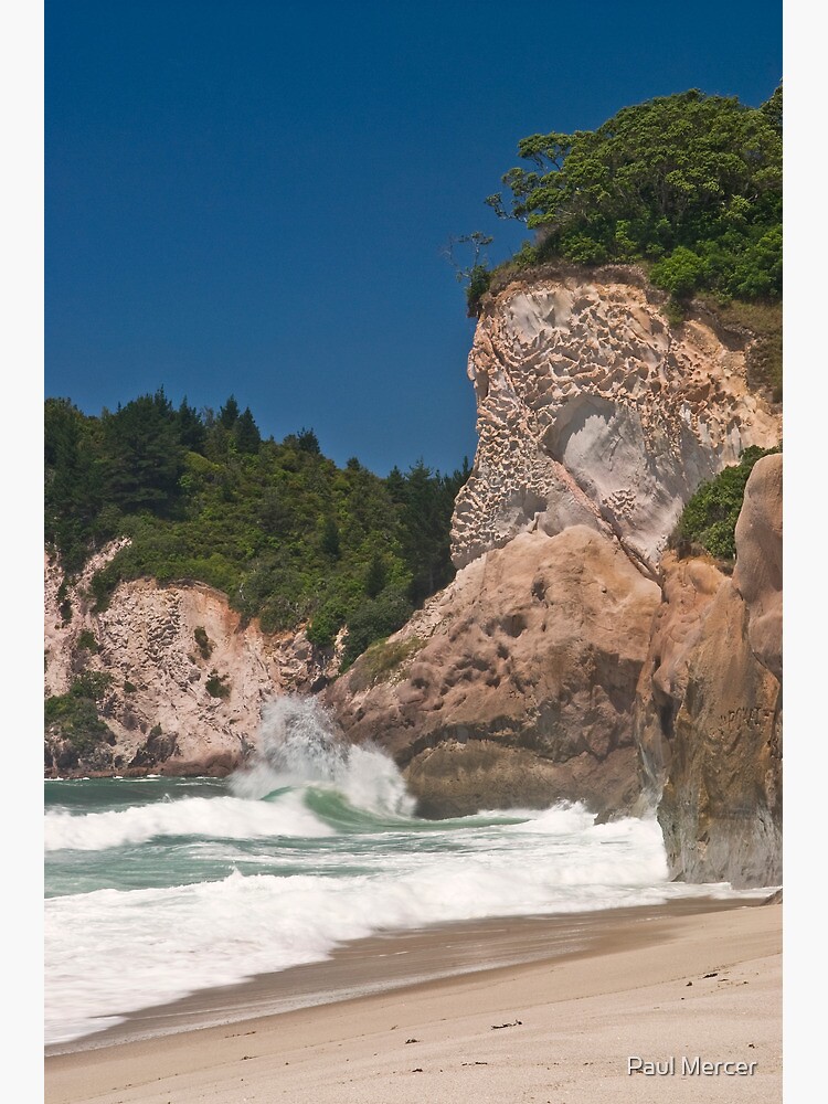 "Whiritoa Beach, Coromandel" Canvas Print for Sale by nzart Redbubble