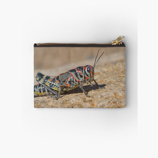 Item preview, Colorful Grasshopper designed and sold by WorldDesign.