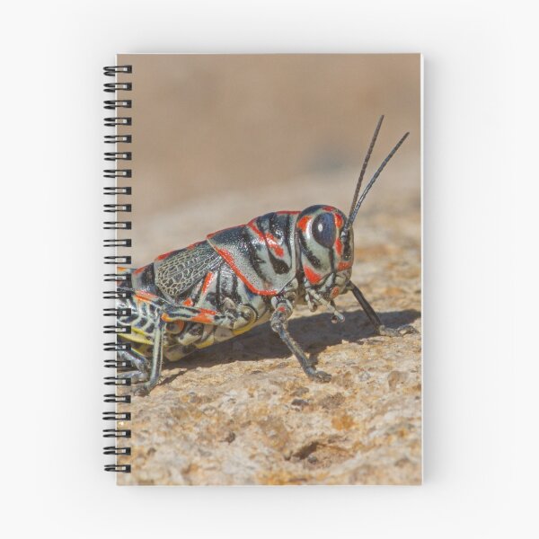 Item preview, Colorful Grasshopper designed and sold by WorldDesign.