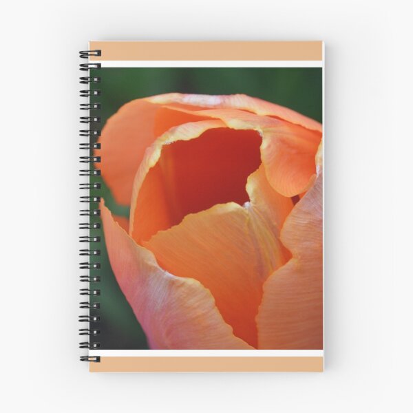 Item preview, Orange Tulip designed and sold by LizardSpirit.
