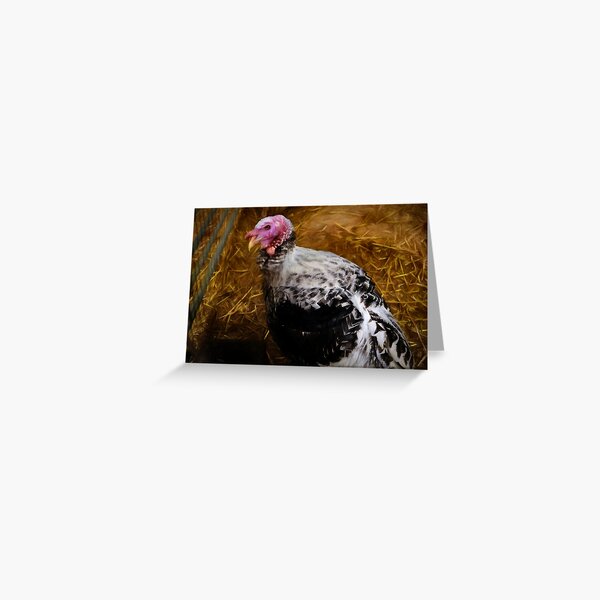 Farm Game Greeting Cards Redbubble - roblox feather family vulture wild birds roleplay