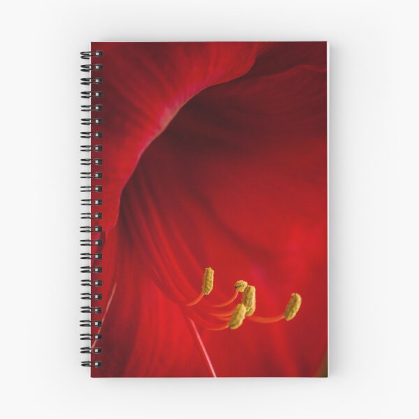 Item preview, Enticing Amaryllis designed and sold by Viv Thompson Photography .