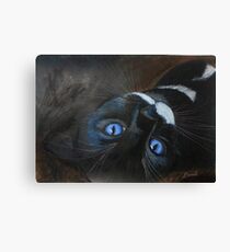 Sebastian Canvas Print