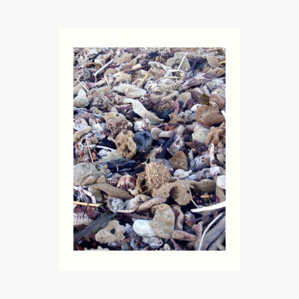 washed up Art Print