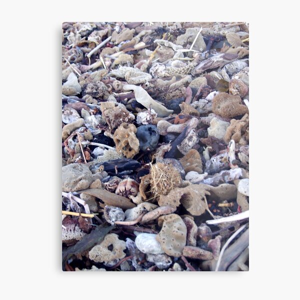 washed up Metal Print