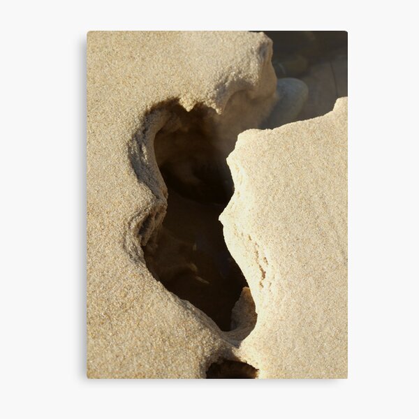Delilah Metal Print