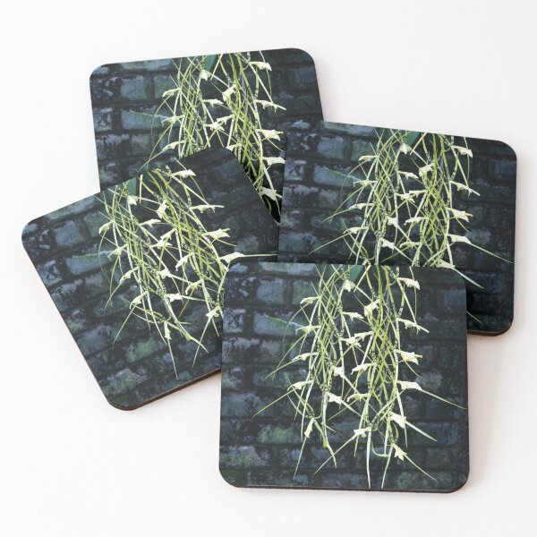 Item preview, Rough Brickwork and Ethereal Orchids  designed and sold by Georgia Mizuleva.